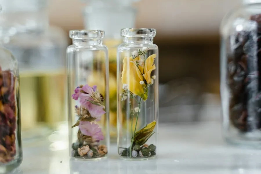 Perfume Buying Guide