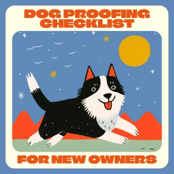 Room-by-Room Dog-Proofing Checklist for New Owners